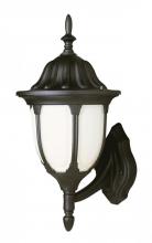  4041 RT - Hamilton 1-Light Opal Glass Traditional Outdoor Wall Lantern